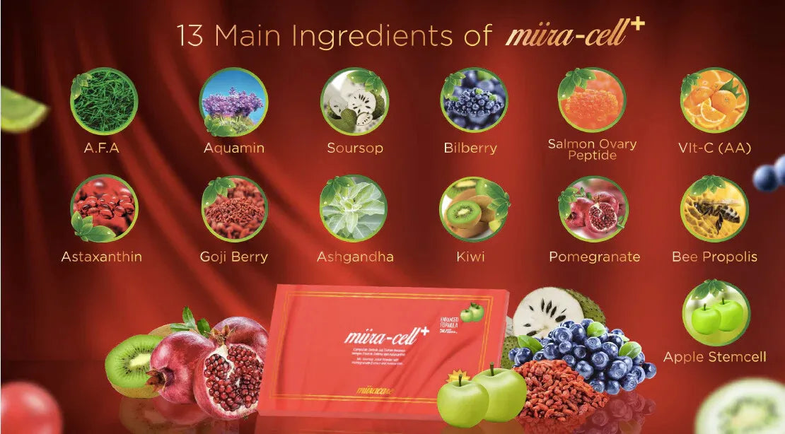 Miira-Cell+: Unlock Your Body's True Potential (24 sachets/ a packet)