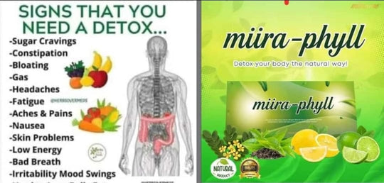 Miira-Phyll: Natural Body Detoxification (12 sachets/ a packet)